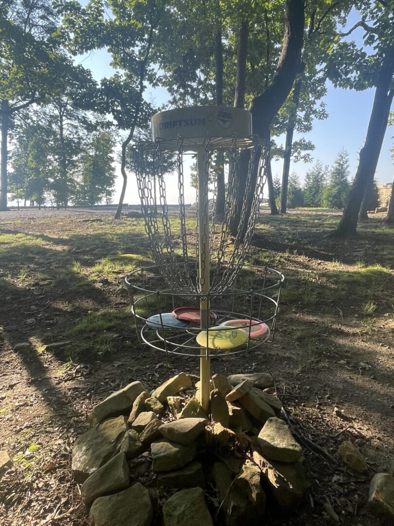 A frisbee golf course with trees in the background.
